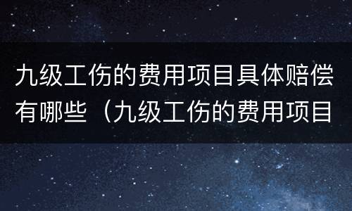 九级工伤的费用项目具体赔偿有哪些（九级工伤的费用项目具体赔偿有哪些呢）
