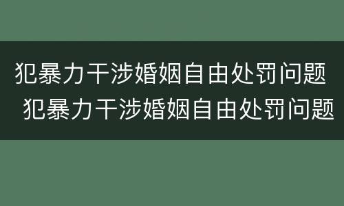 犯暴力干涉婚姻自由处罚问题 犯暴力干涉婚姻自由处罚问题的案例