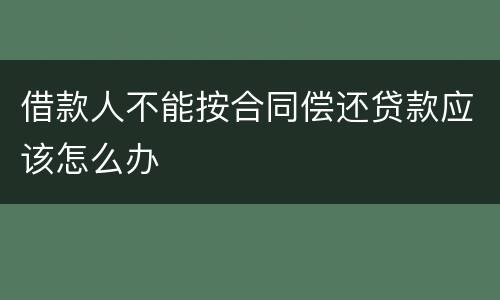 借款人不能按合同偿还贷款应该怎么办