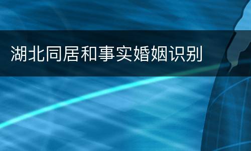湖北同居和事实婚姻识别