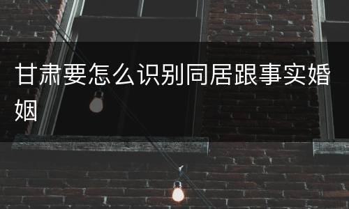 甘肃要怎么识别同居跟事实婚姻