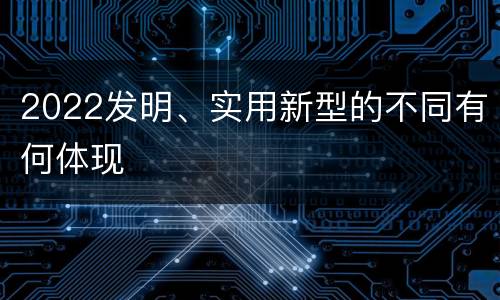 2022发明、实用新型的不同有何体现