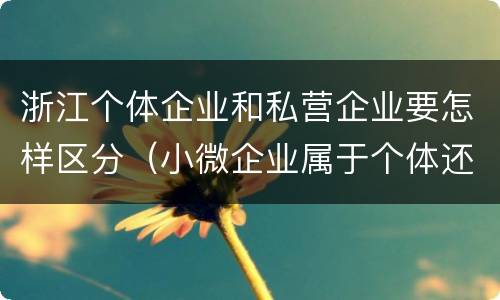 浙江个体企业和私营企业要怎样区分（小微企业属于个体还是私营）