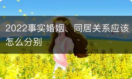 2022事实婚姻、同居关系应该怎么分别
