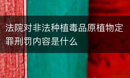 法院对非法种植毒品原植物定罪刑罚内容是什么