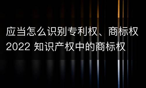应当怎么识别专利权、商标权2022 知识产权中的商标权