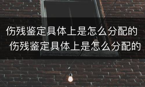 伤残鉴定具体上是怎么分配的 伤残鉴定具体上是怎么分配的材料
