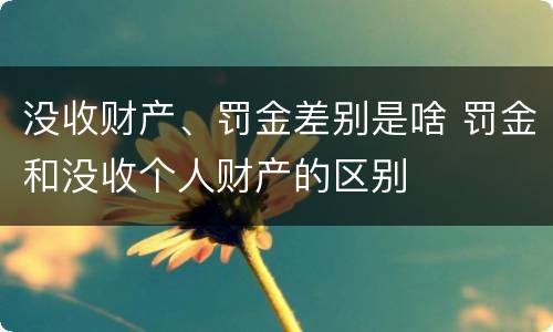 没收财产、罚金差别是啥 罚金和没收个人财产的区别