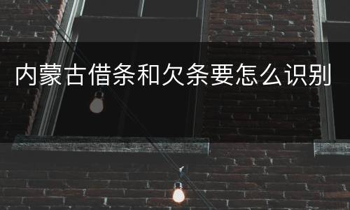 内蒙古借条和欠条要怎么识别