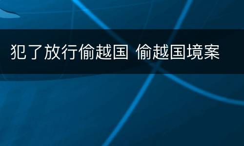 犯了放行偷越国 偷越国境案