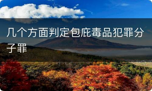 几个方面判定包庇毒品犯罪分子罪