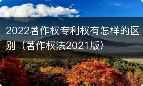 2022著作权专利权有怎样的区别（著作权法2021版）