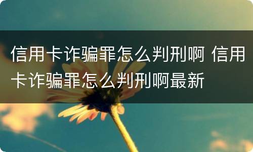 信用卡诈骗罪怎么判刑啊 信用卡诈骗罪怎么判刑啊最新