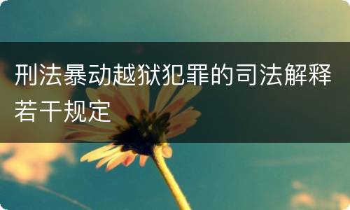 刑法暴动越狱犯罪的司法解释若干规定
