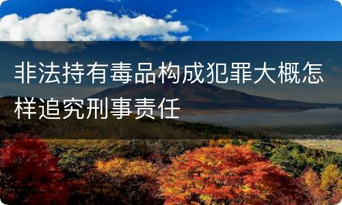 非法持有毒品构成犯罪大概怎样追究刑事责任