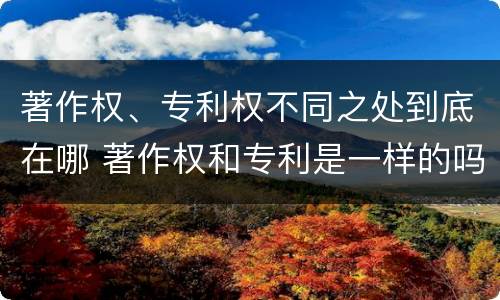 著作权、专利权不同之处到底在哪 著作权和专利是一样的吗