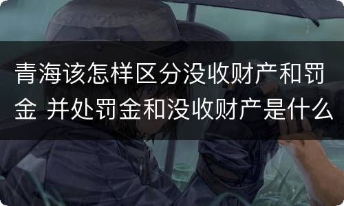 青海该怎样区分没收财产和罚金 并处罚金和没收财产是什么意思