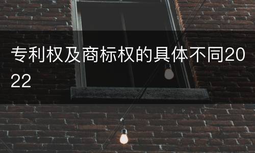 专利权及商标权的具体不同2022