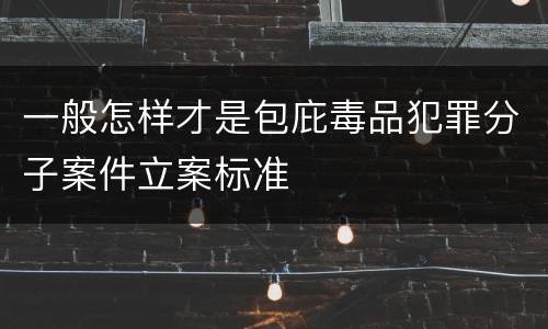 一般怎样才是包庇毒品犯罪分子案件立案标准