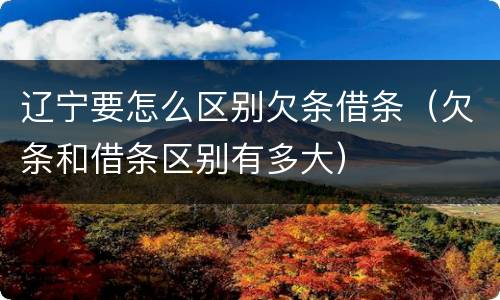 辽宁要怎么区别欠条借条（欠条和借条区别有多大）