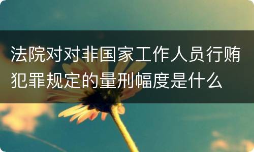 法院对对非国家工作人员行贿犯罪规定的量刑幅度是什么