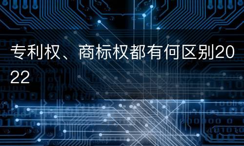 专利权、商标权都有何区别2022