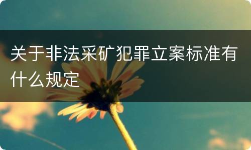 关于非法采矿犯罪立案标准有什么规定