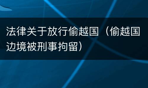 法律关于放行偷越国（偷越国边境被刑事拘留）