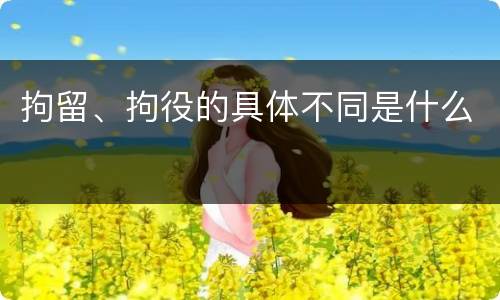 拘留、拘役的具体不同是什么