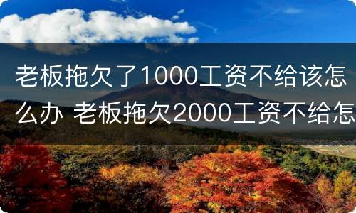 老板拖欠了1000工资不给该怎么办 老板拖欠2000工资不给怎么办