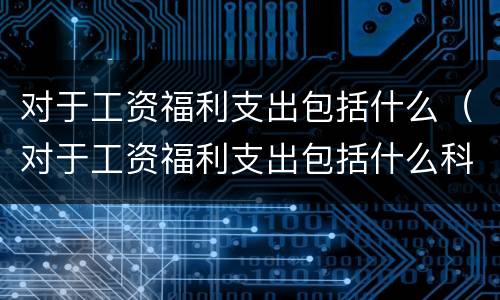 对于工资福利支出包括什么（对于工资福利支出包括什么科目）