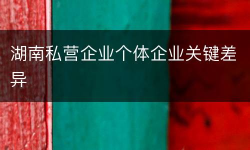湖南私营企业个体企业关键差异