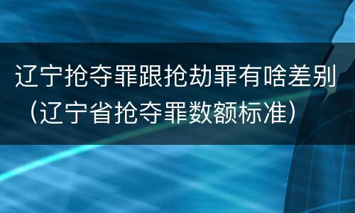 辽宁抢夺罪跟抢劫罪有啥差别（辽宁省抢夺罪数额标准）