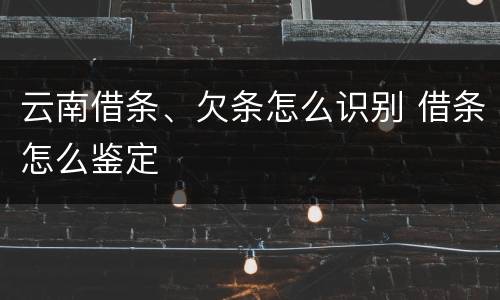 云南借条、欠条怎么识别 借条怎么鉴定