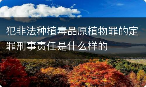 犯非法种植毒品原植物罪的定罪刑事责任是什么样的