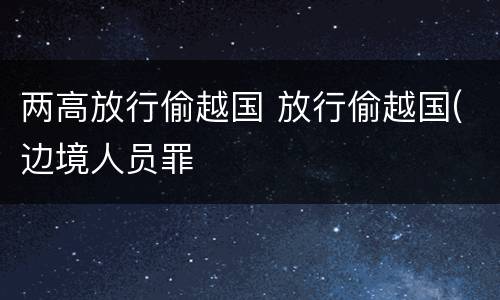 两高放行偷越国 放行偷越国(边境人员罪