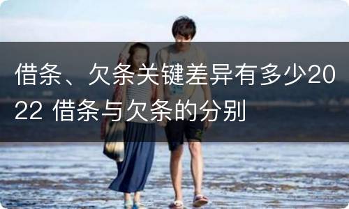 借条、欠条关键差异有多少2022 借条与欠条的分别