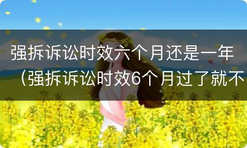 强拆诉讼时效六个月还是一年（强拆诉讼时效6个月过了就不能告了吗）