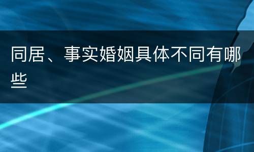 同居、事实婚姻具体不同有哪些
