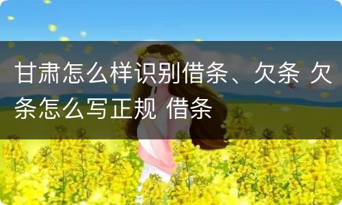 甘肃怎么样识别借条、欠条 欠条怎么写正规 借条