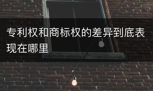 专利权和商标权的差异到底表现在哪里