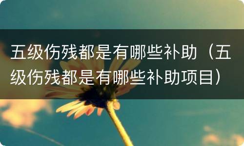 五级伤残都是有哪些补助（五级伤残都是有哪些补助项目）