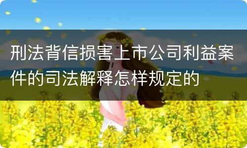 刑法背信损害上市公司利益案件的司法解释怎样规定的