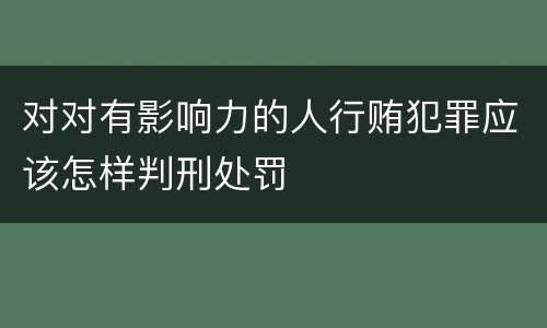 对对有影响力的人行贿犯罪应该怎样判刑处罚