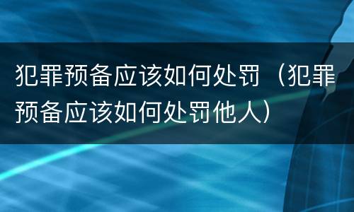 犯罪预备应该如何处罚（犯罪预备应该如何处罚他人）