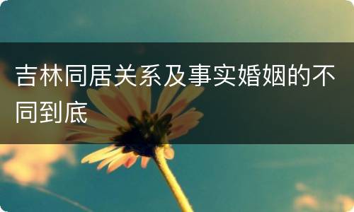 吉林同居关系及事实婚姻的不同到底
