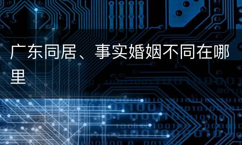 广东同居、事实婚姻不同在哪里