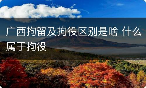 广西拘留及拘役区别是啥 什么属于拘役