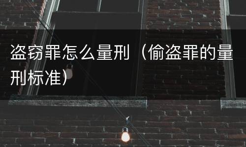 盗窃罪怎么量刑（偷盗罪的量刑标准）