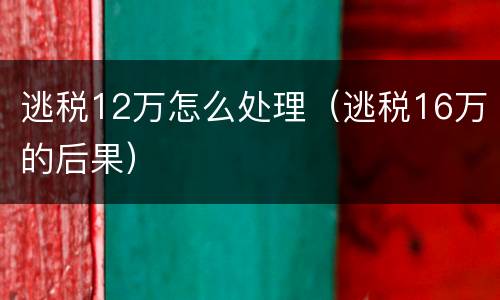 逃税12万怎么处理（逃税16万的后果）